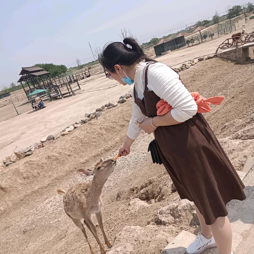 ☞～杨帆^O^起航☜