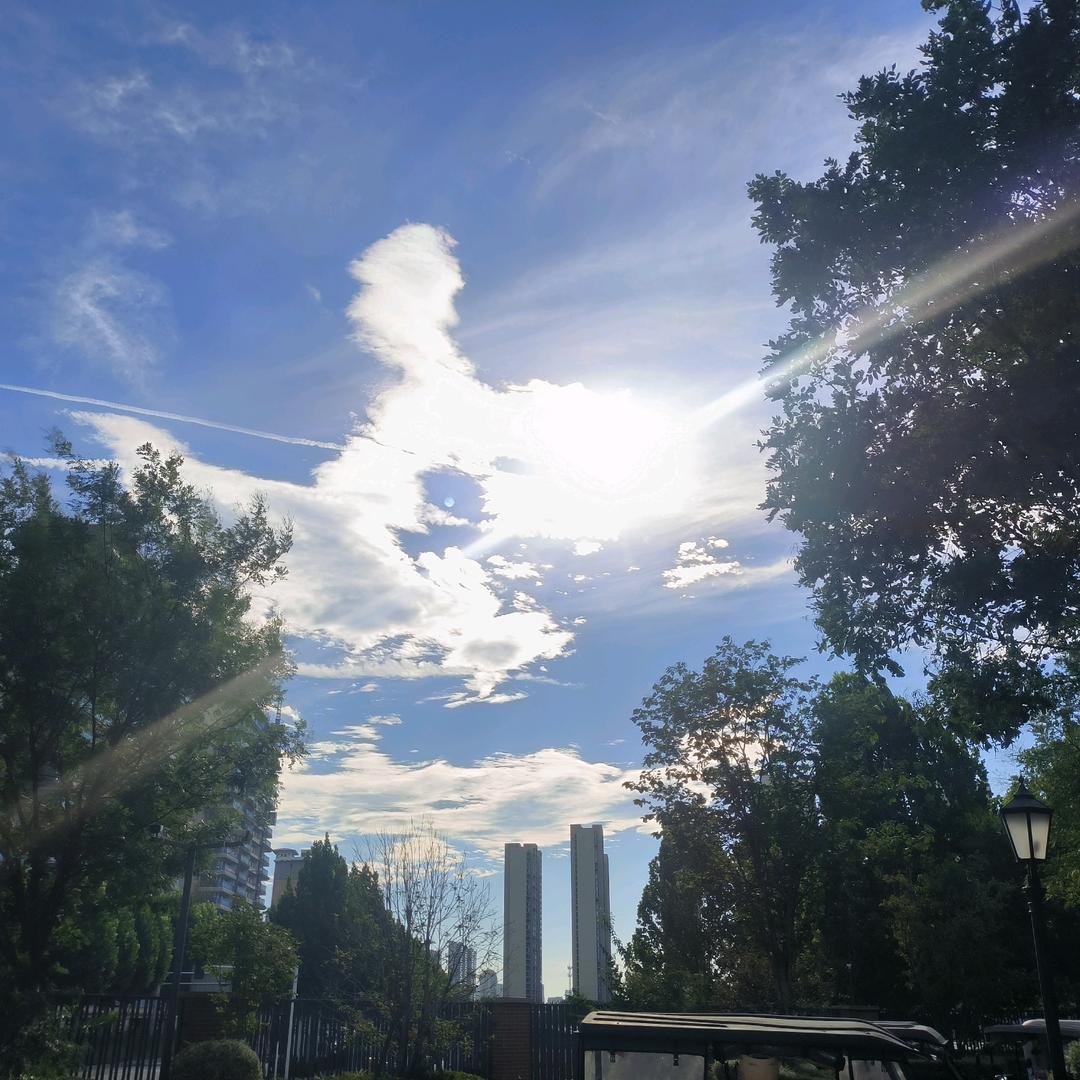 秦姐优选