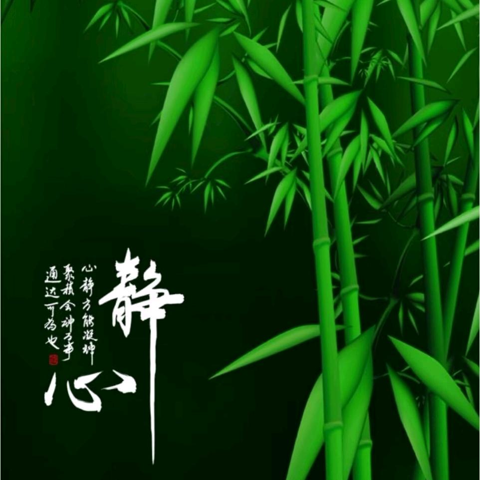 ～陈 晨