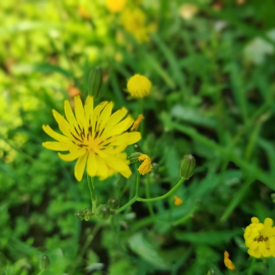 有点@甜