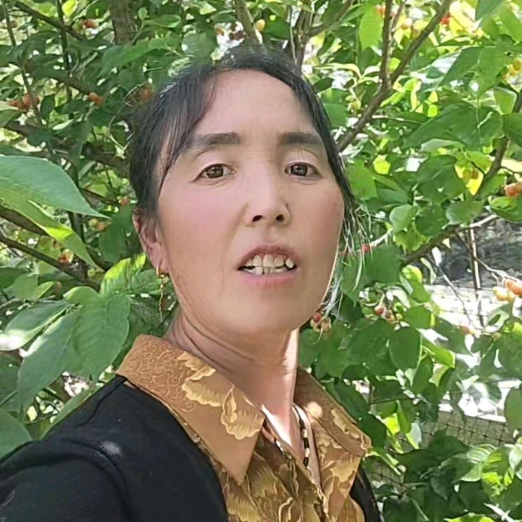 许会（每晚22：20开播）