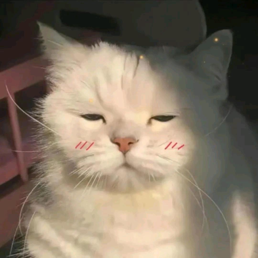 智慧树上智慧果.