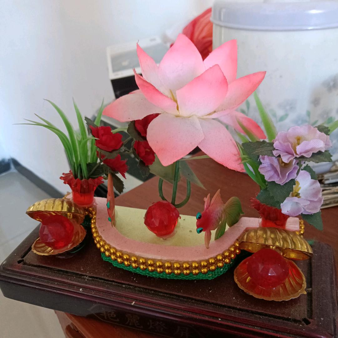 好运莲莲