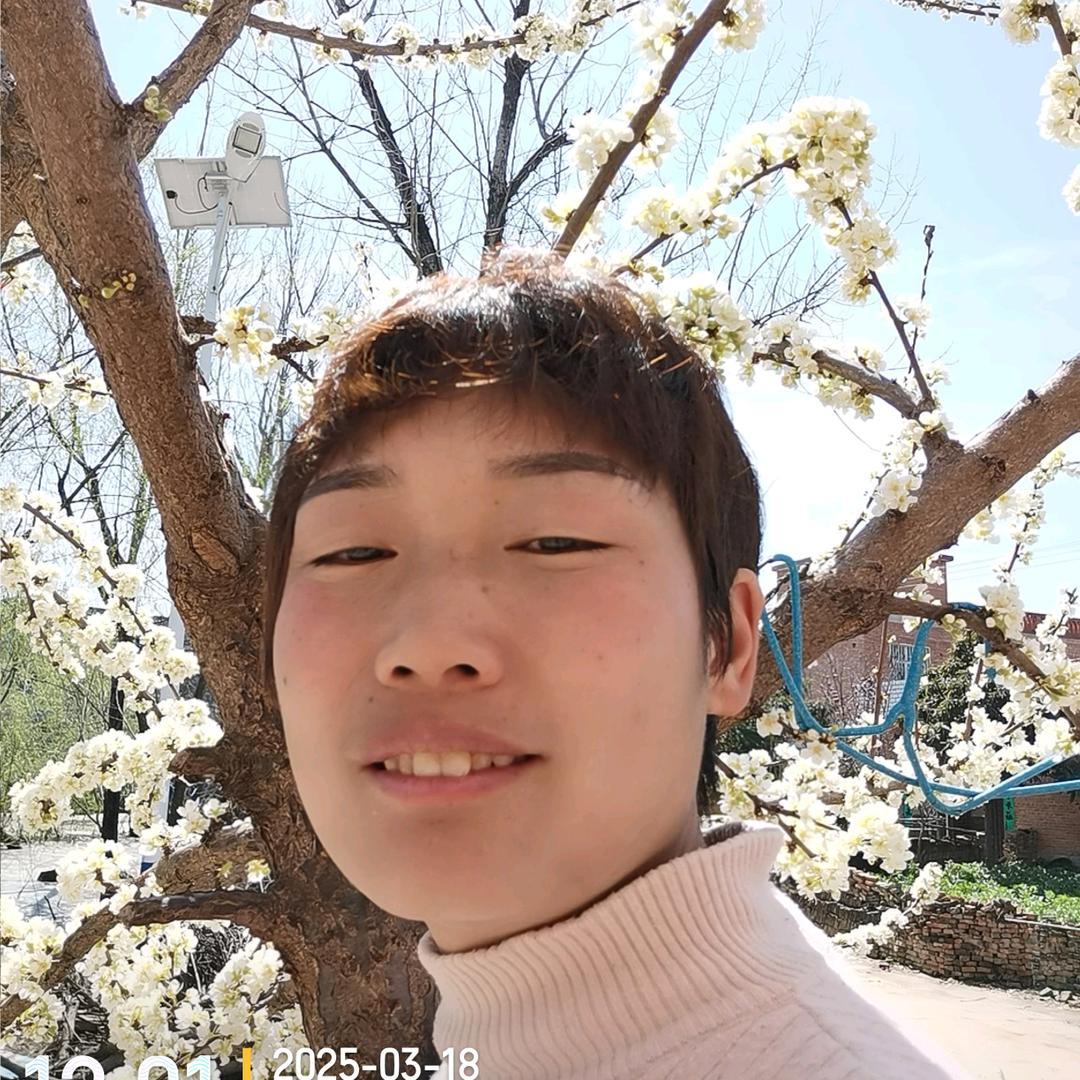 刘珂（9:00一12:00）