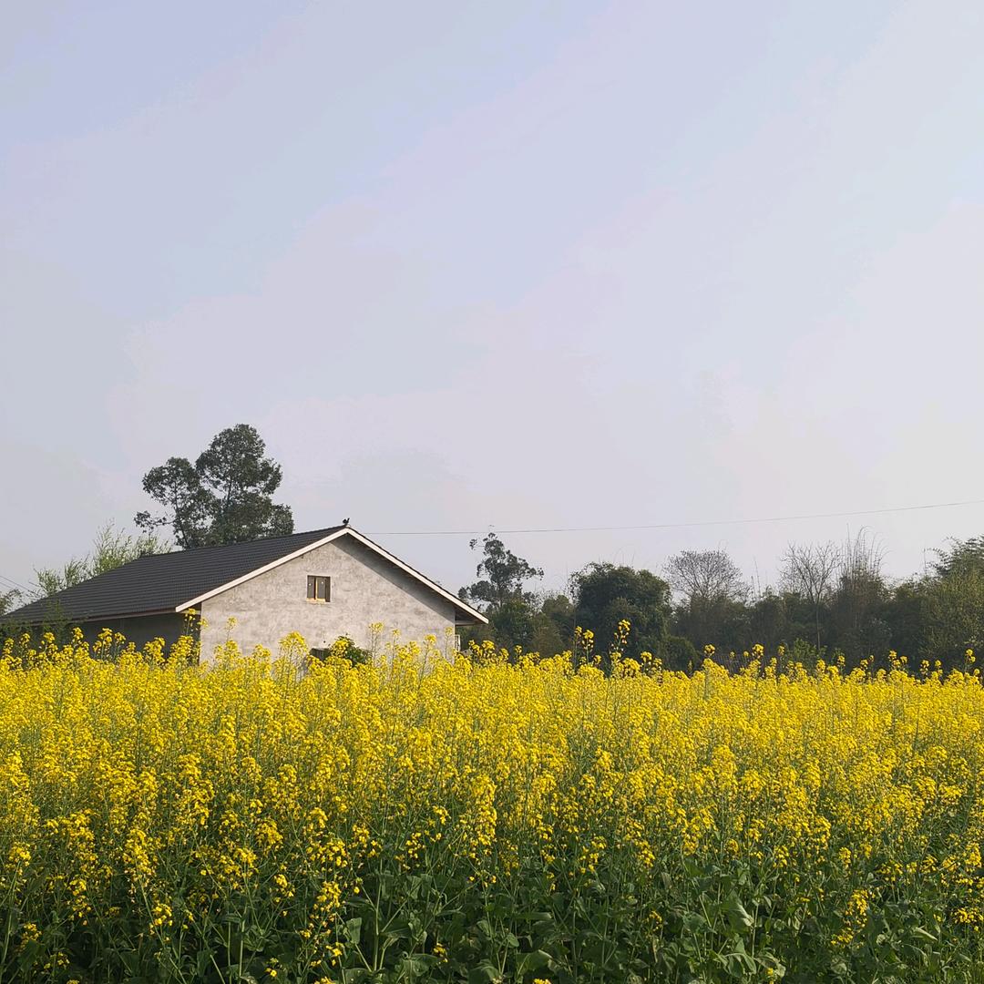 ˚*̥(∗*⁰͈꒨⁰͈)*̥哇哦~