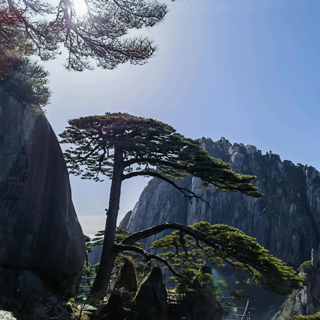 保定兆望台房地产开发有限公司