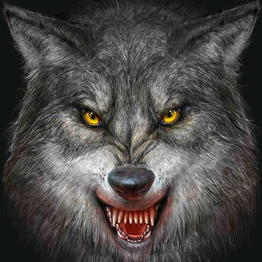 ╭(╯谋财╰)╮