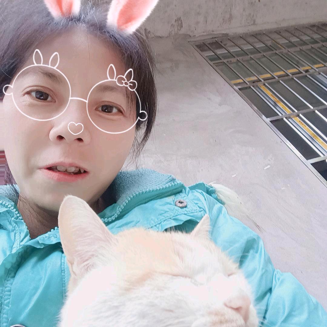 苦有乐趣《单亲妈妈》