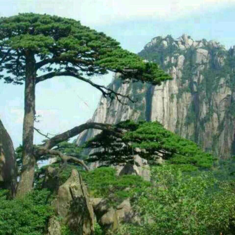 友谊长存
