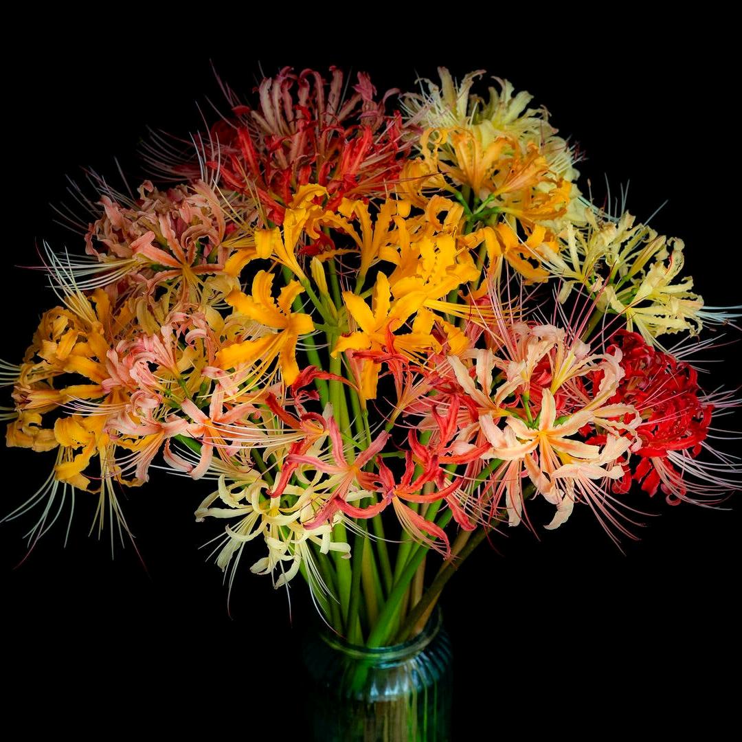 去个辽阔的地方