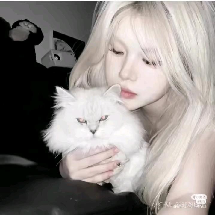 曹丽乌密草植物染发