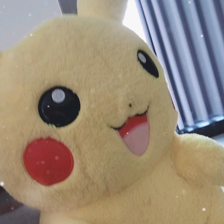 燕子