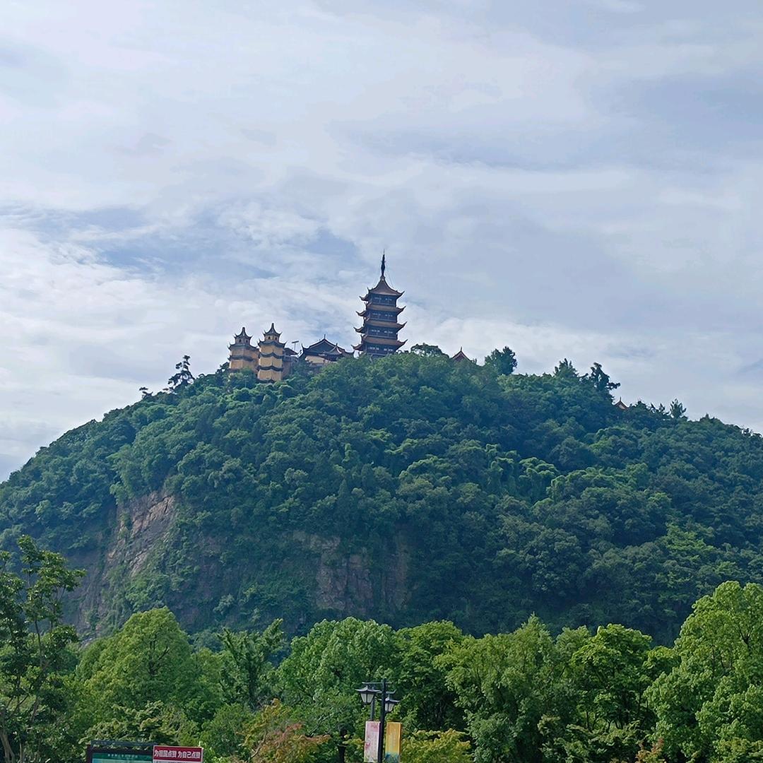 👉張家公子