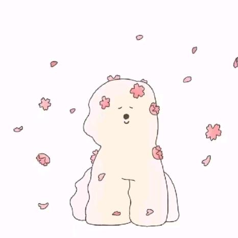 小不点💃🏻