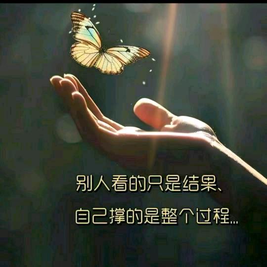 静心✨