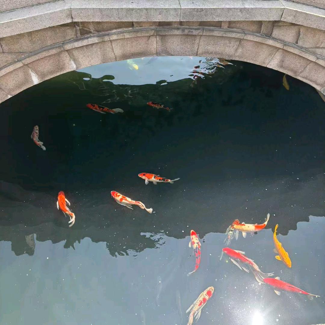 洁万豪佳品