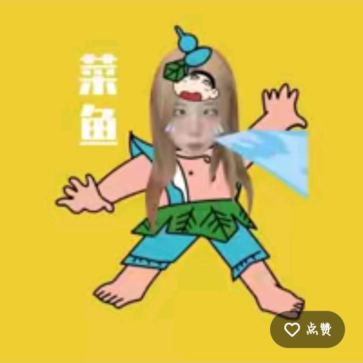 菜鱼很好.琴💛
