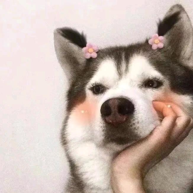 ಇ上上ജ签ഒᩚ