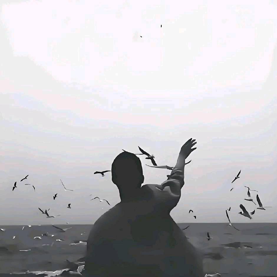 二毛《北悸安凉》