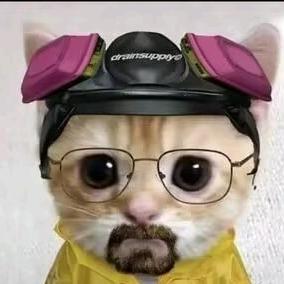 三角洲跑刀肥肥鼠