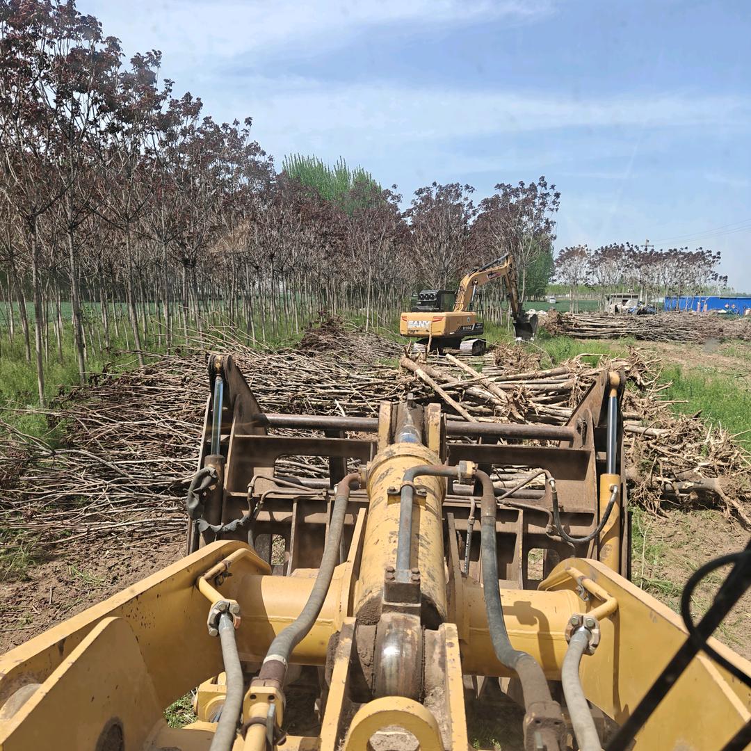 生物质燃料（木材收购！粉碎！）