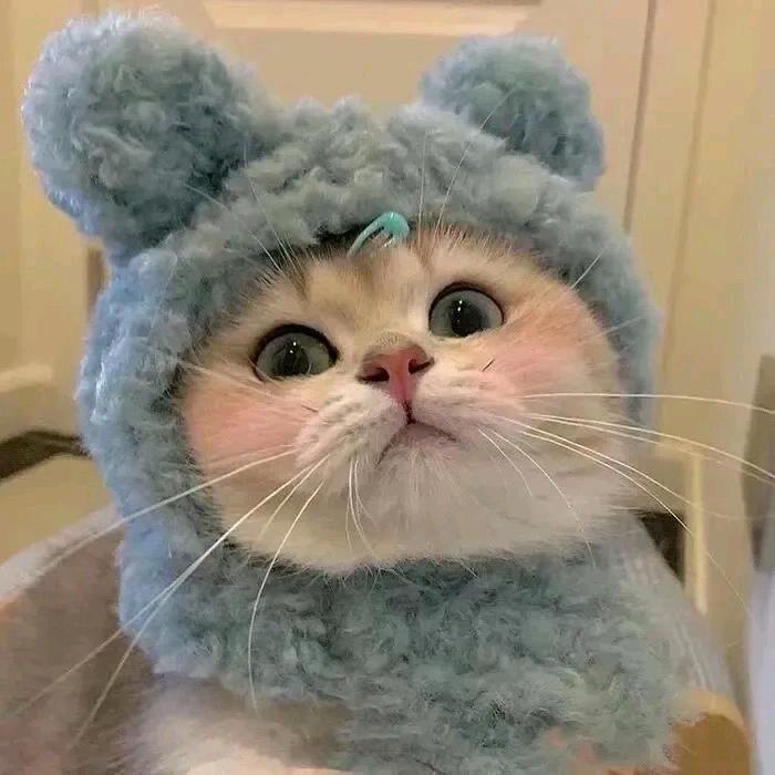 六哥吖