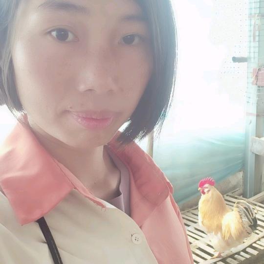 楼顶养鸡种菜