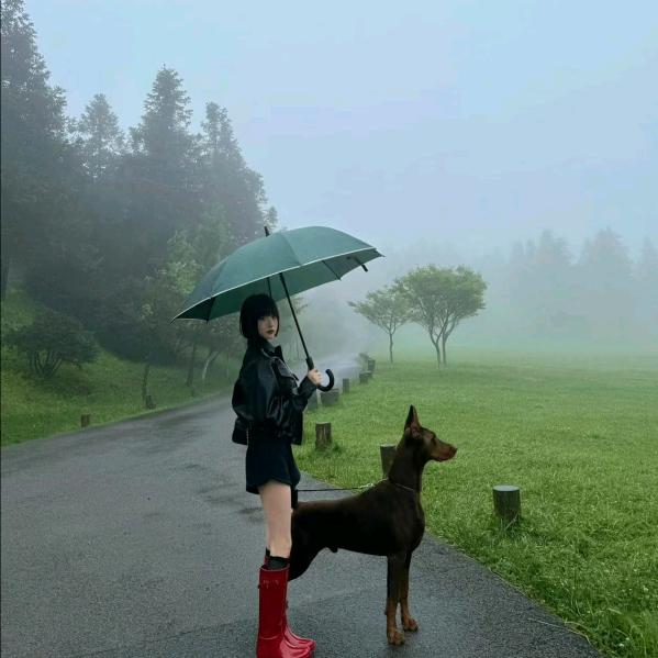 奶盖