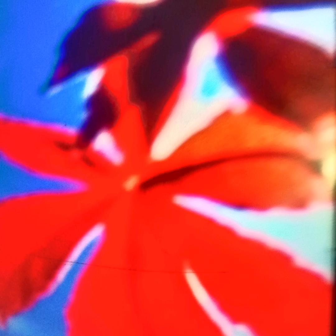 幸福平安
