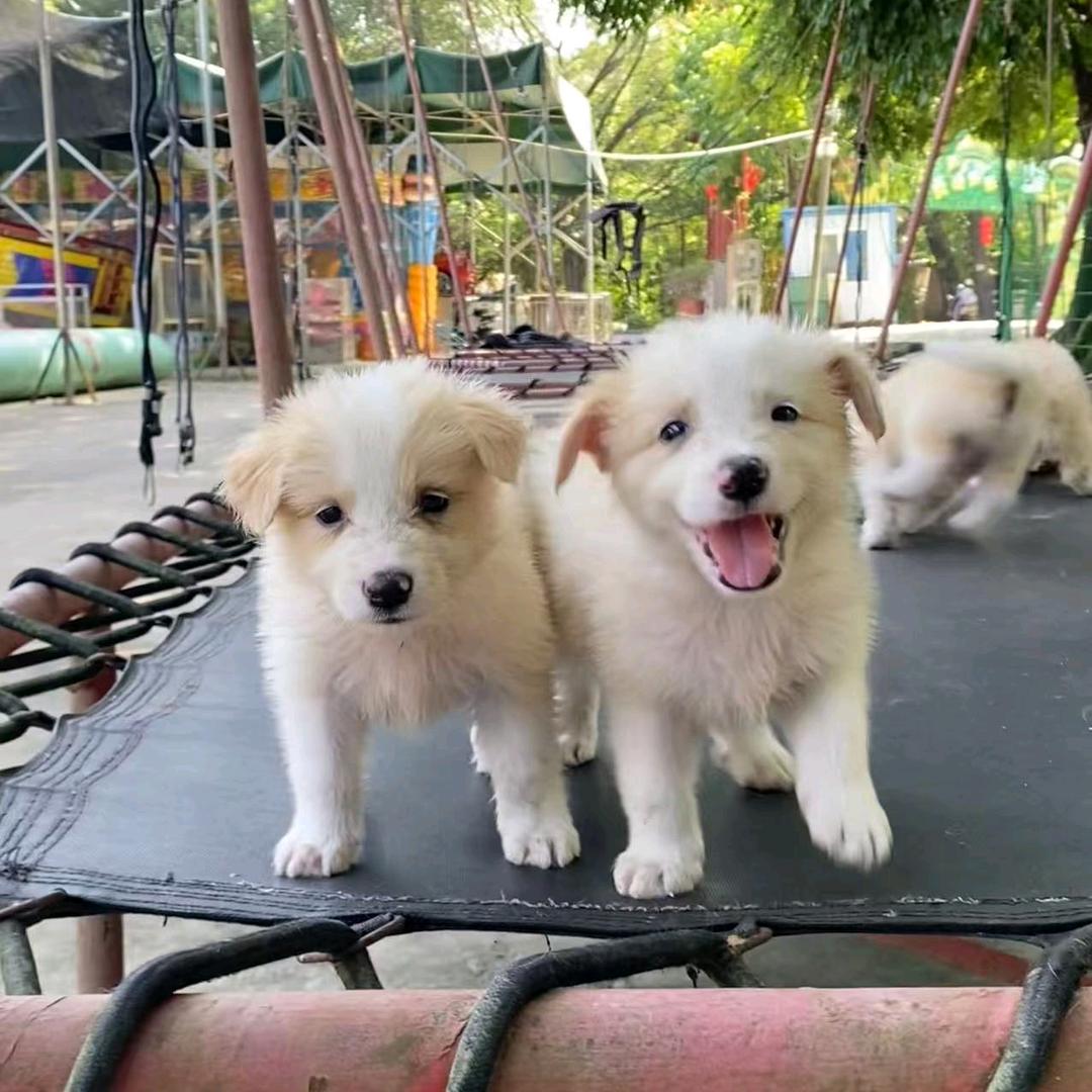 笑到最后才是胜利