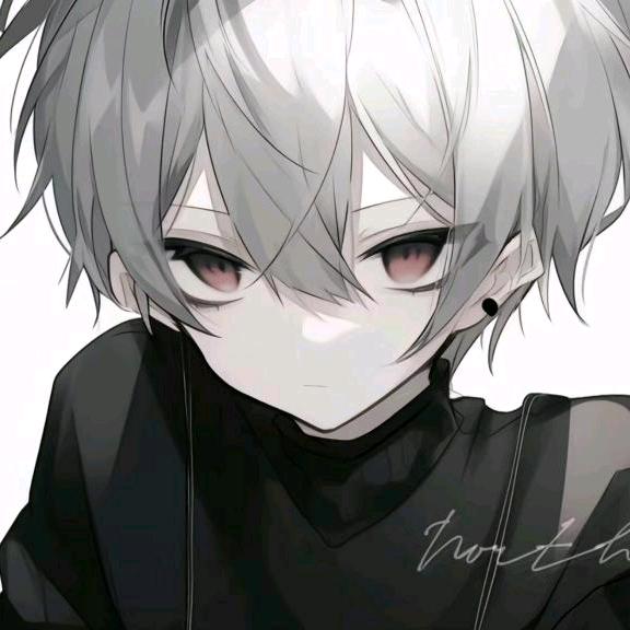 。——  。