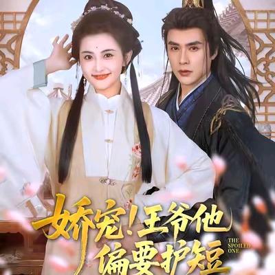 守护喵喵何以笙箫默小号