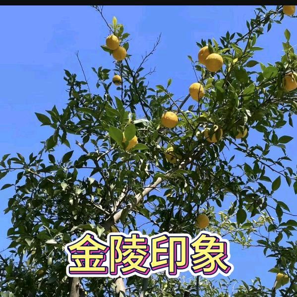 那一天