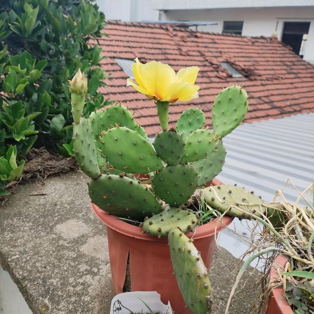 酒未入喉泪先流