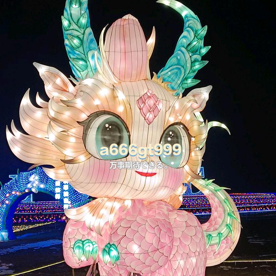 巴豆宠物