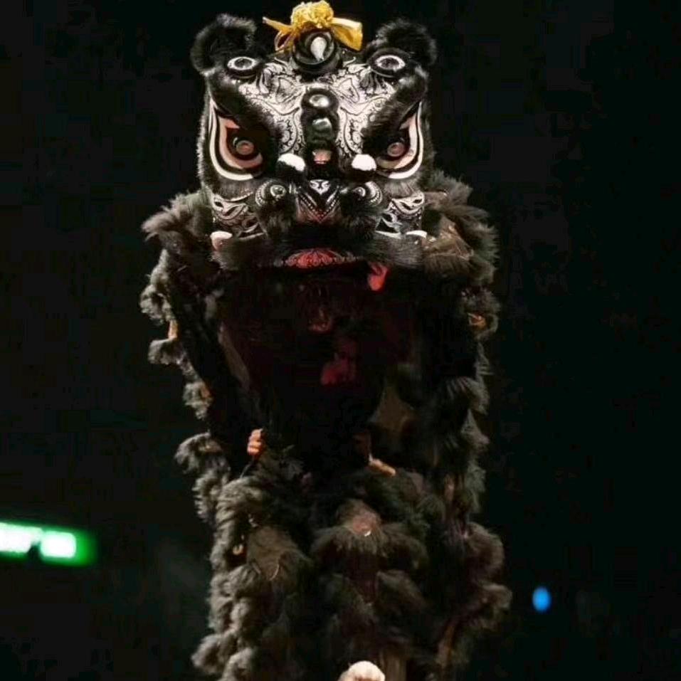 国鑫舞狮大家庭（招生版）