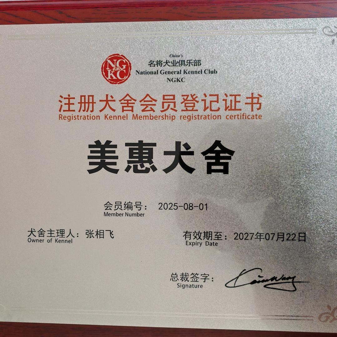 美惠天仙