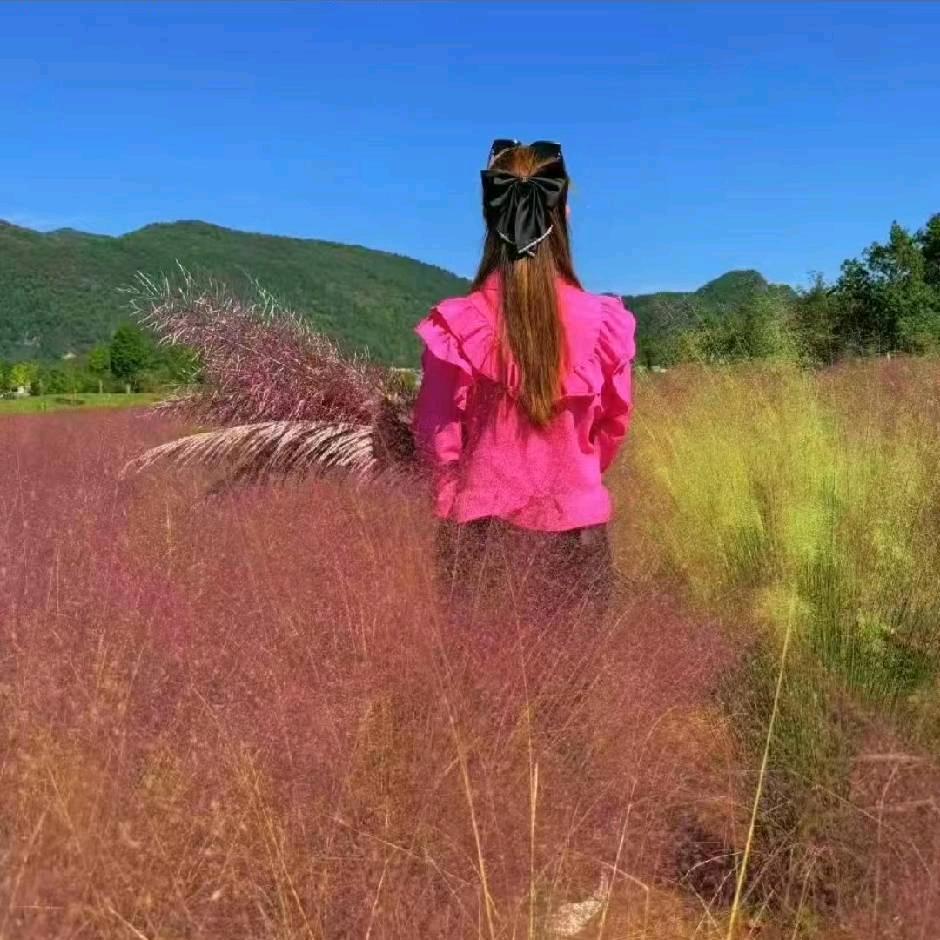 💗᭄玲 儿💞⃨᪲ꦿ⁵²⁰