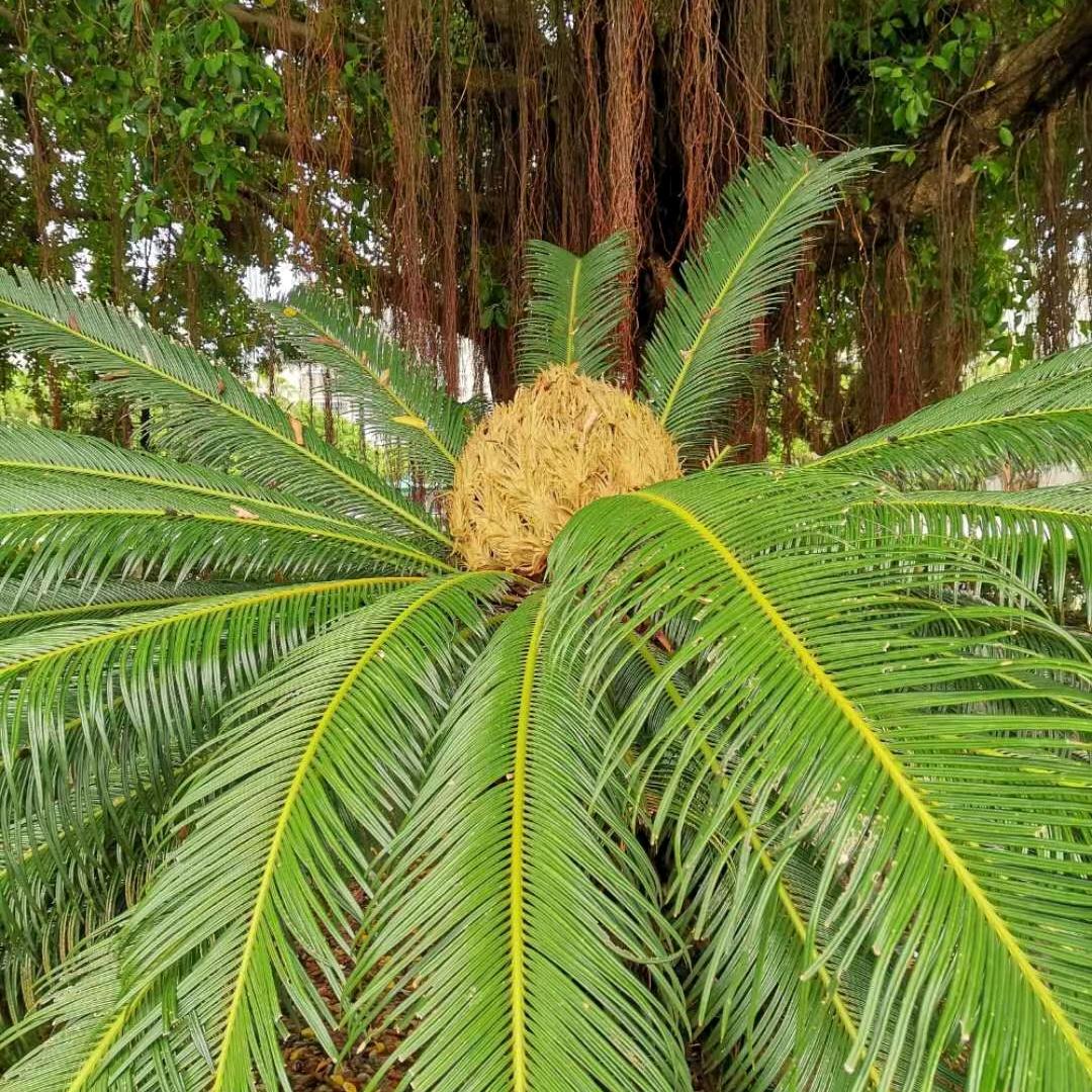 19253876269王勉文