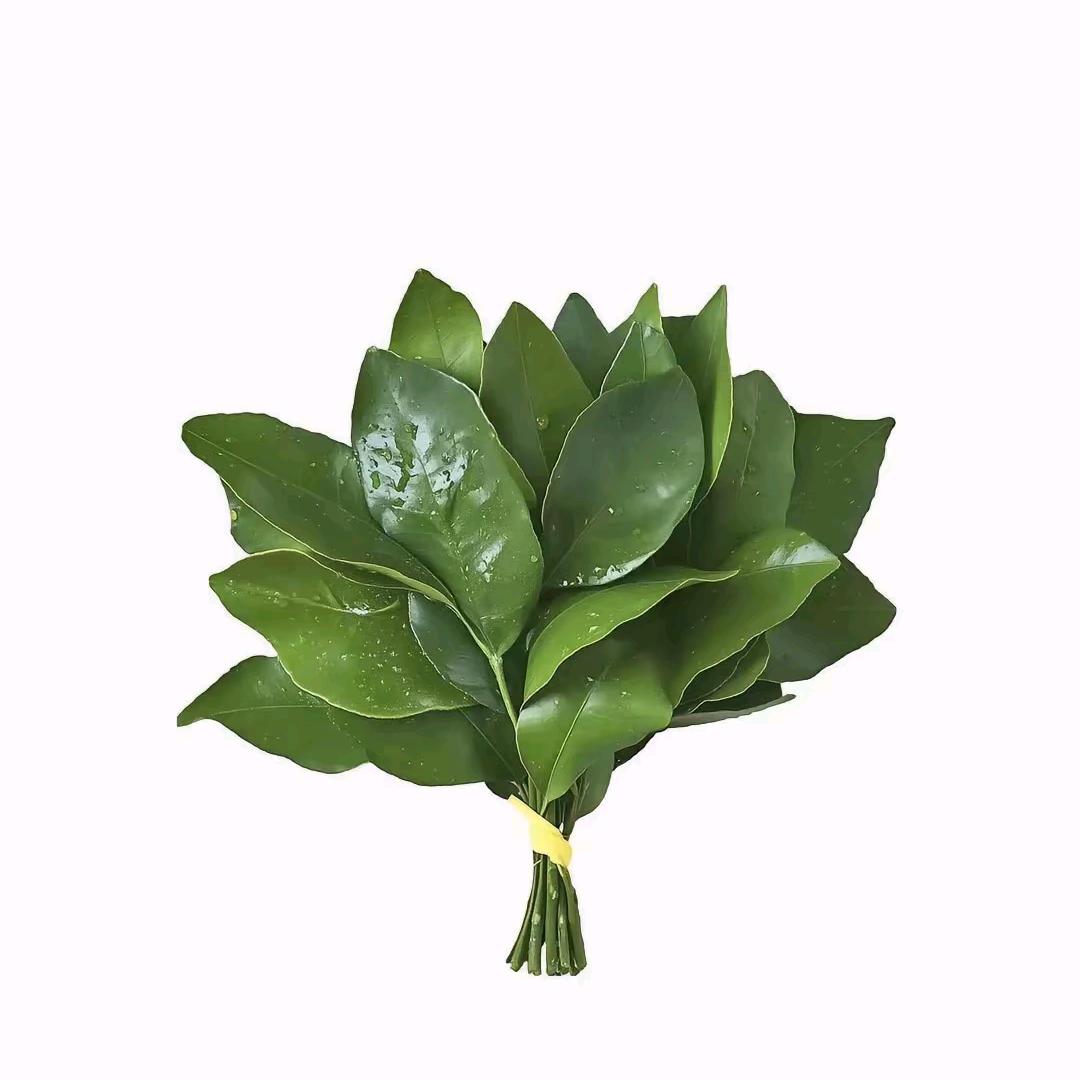 世俗