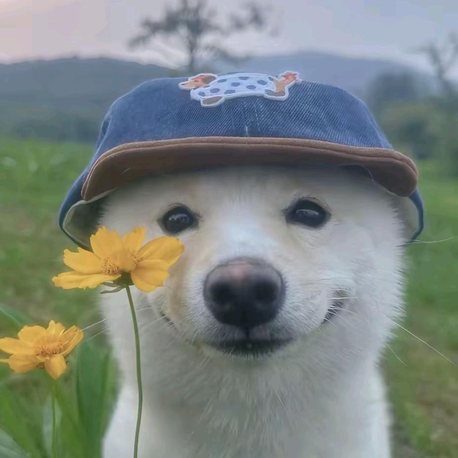 泡泡\^O^/