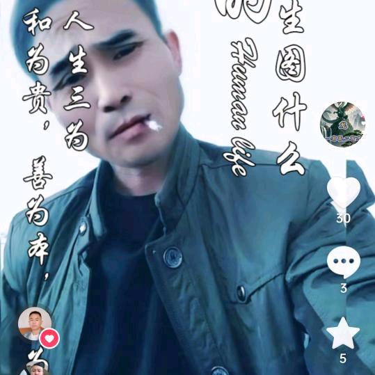 莫总
