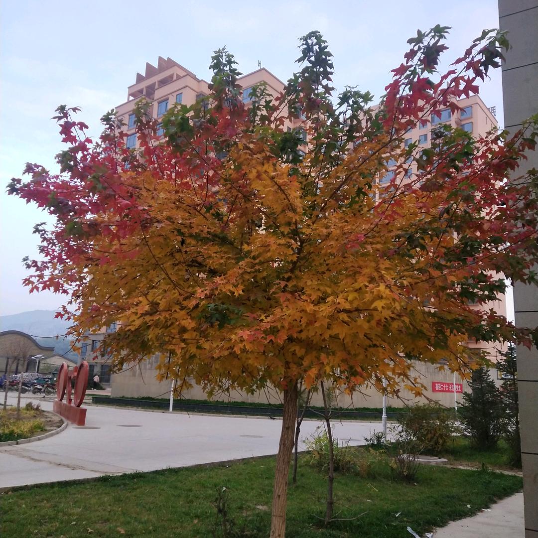 余生დ᭄我ꦿ꧔ꦿ独行℘⸙