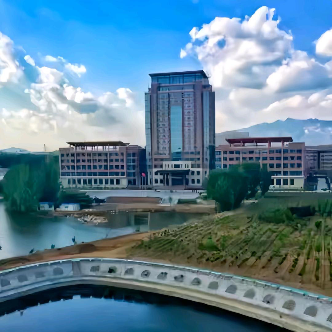 力明升学规划张老师（中专大专）