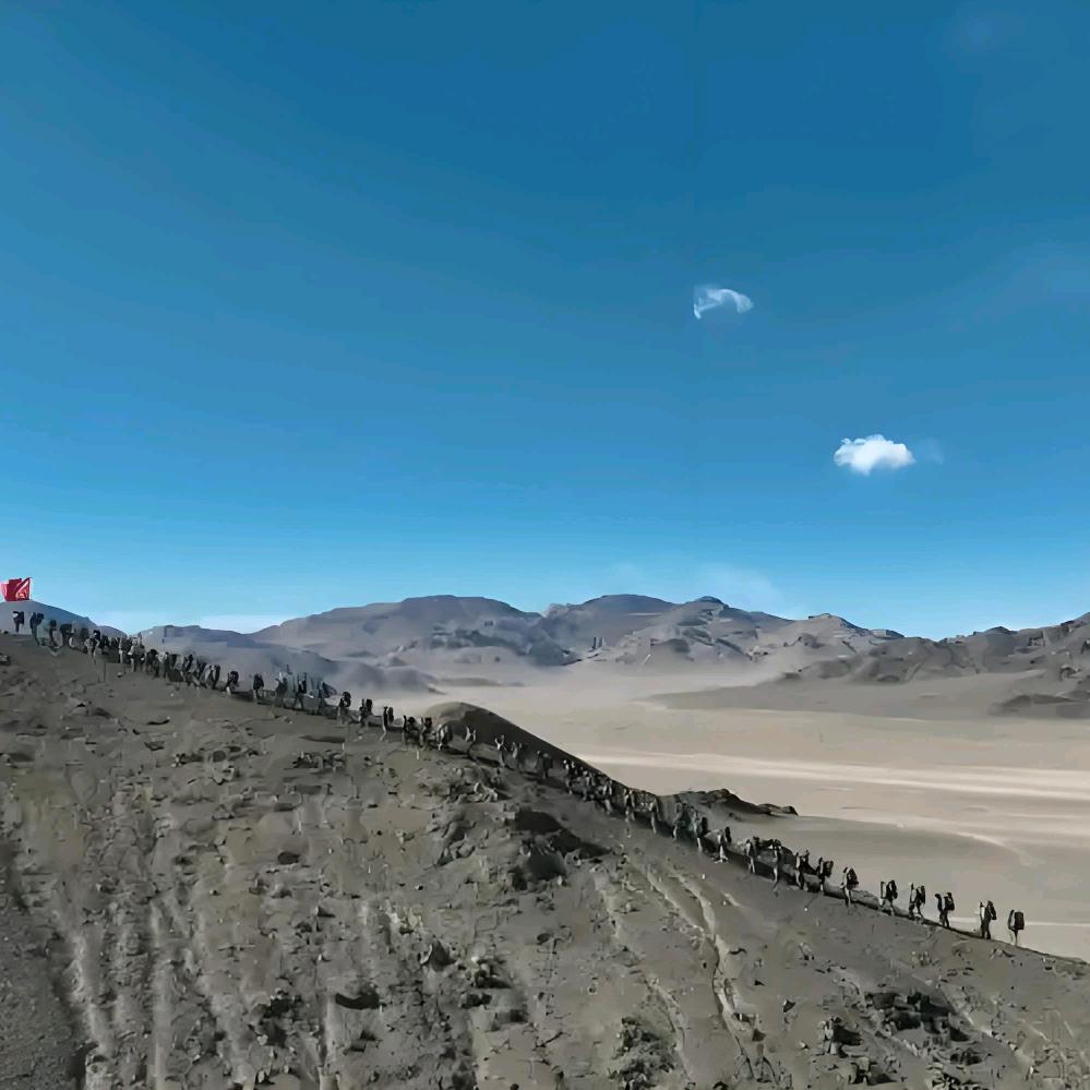 传统美德（正能量）