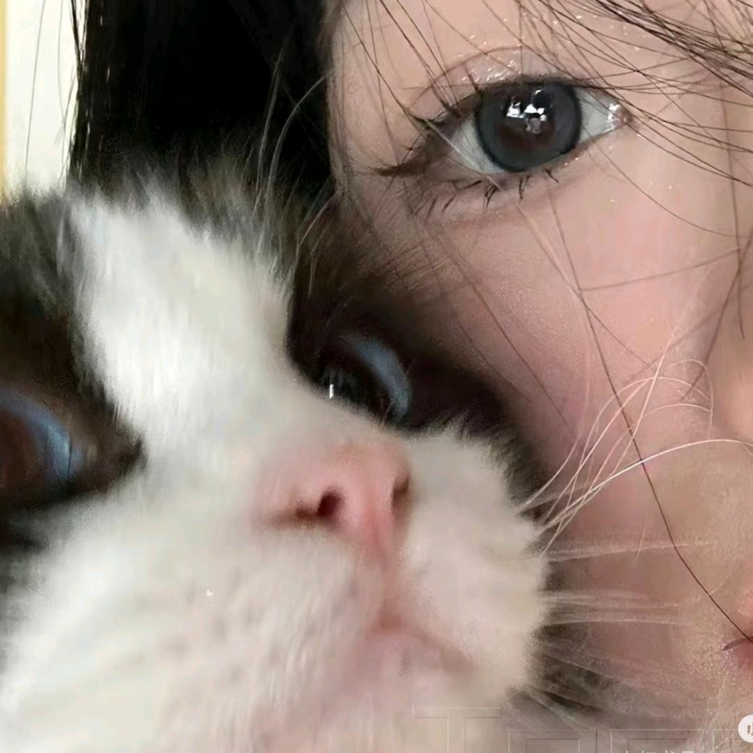 杜杜发财咯(⋟﹏⋞)