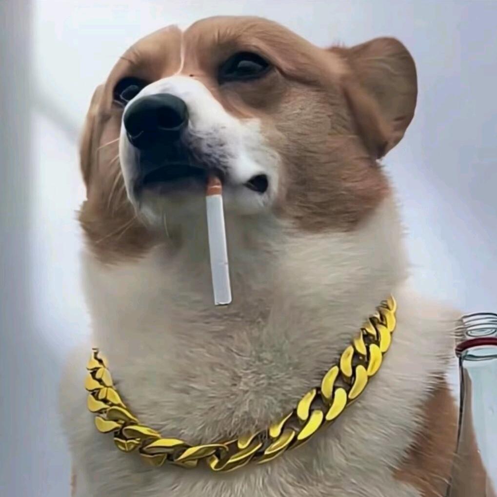 你真废物!