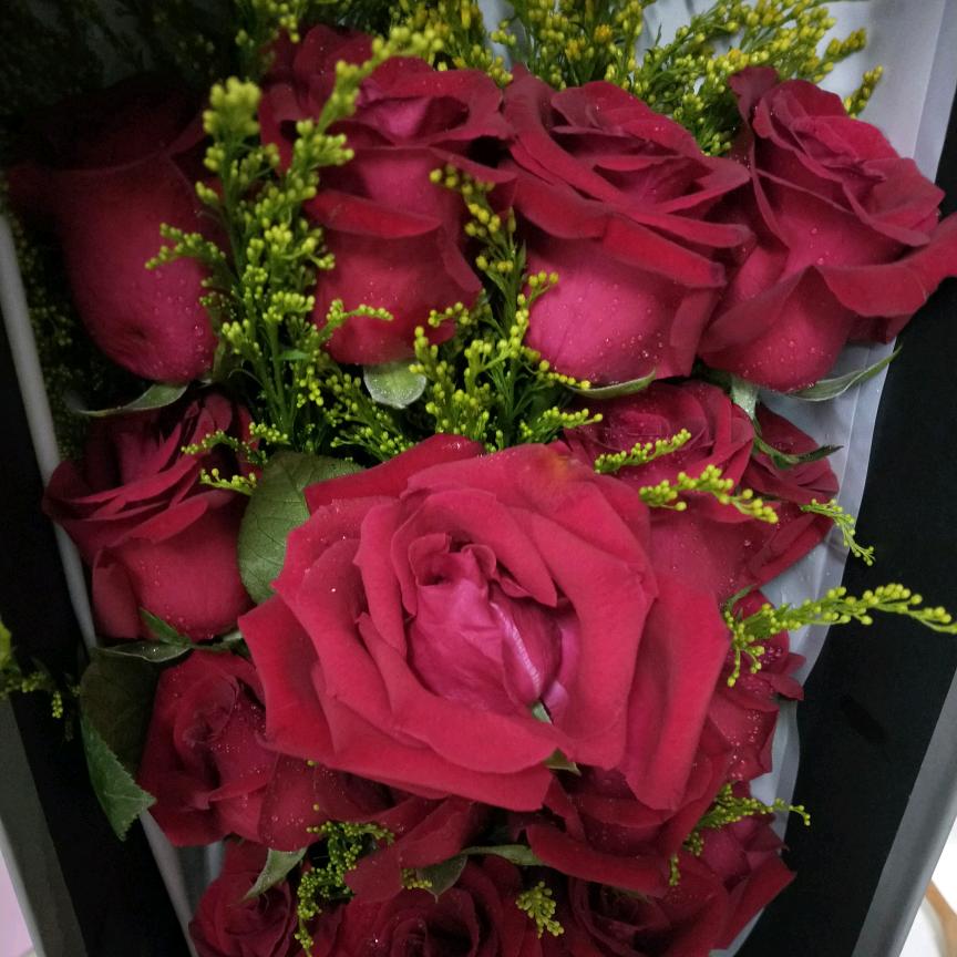 我给你最后的爱就是不打扰