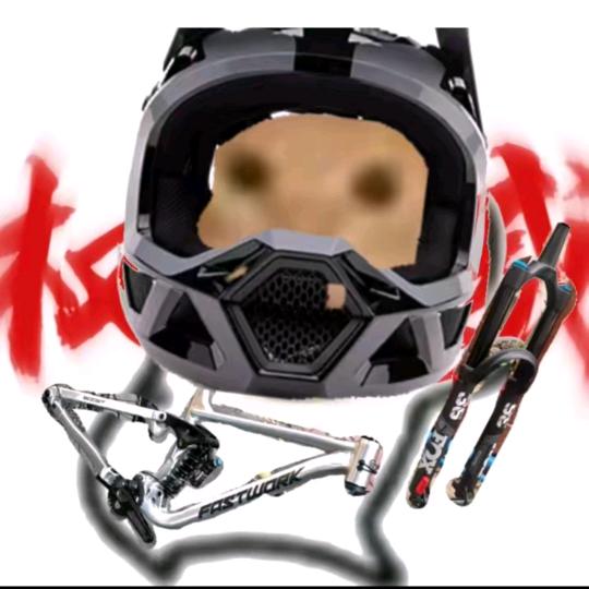 董珠车神