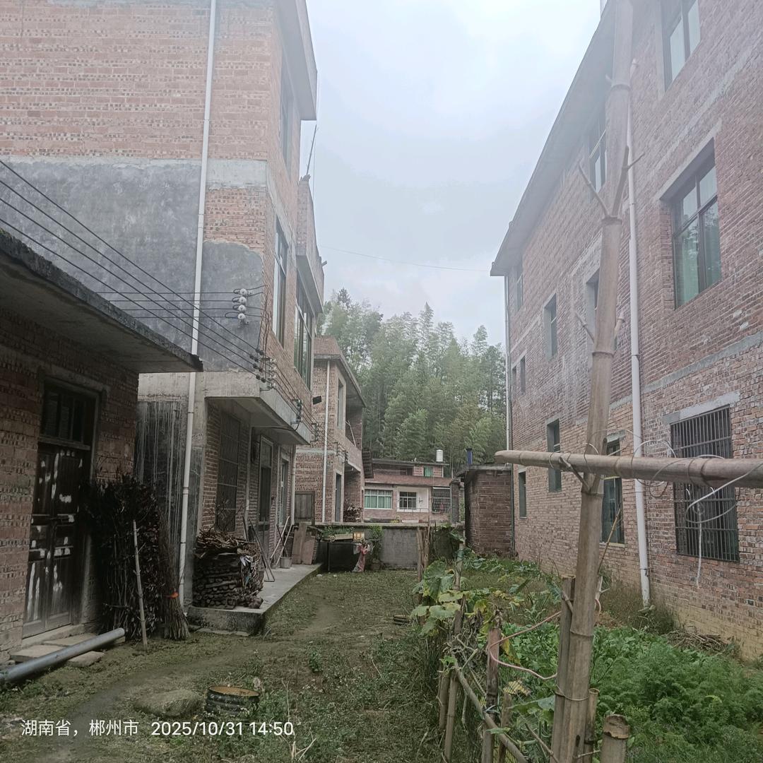 我是全世界最美的美女